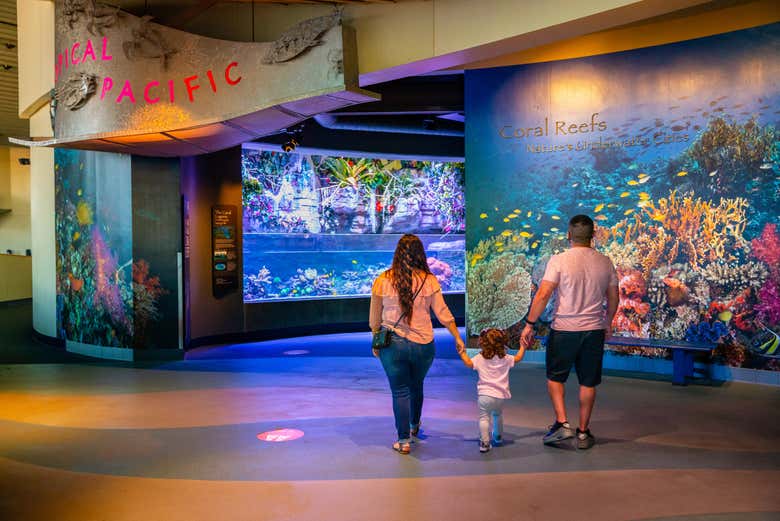 Entrando no Aquarium of The Pacific