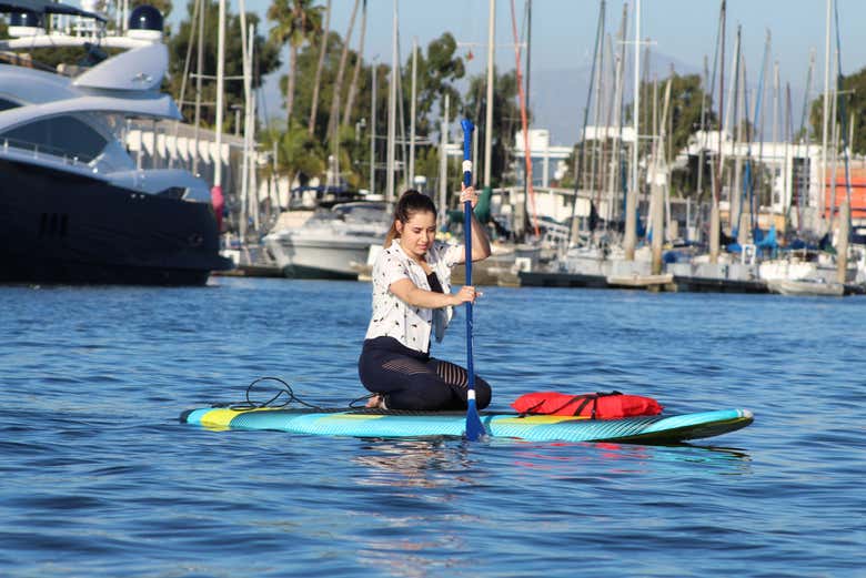 Paddle surf em Marina del Rey 